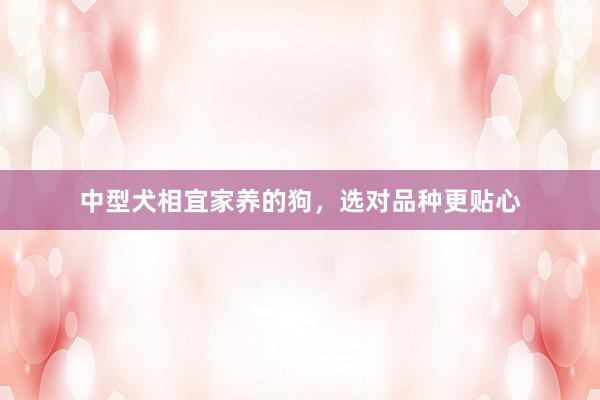 中型犬相宜家养的狗，选对品种更贴心
